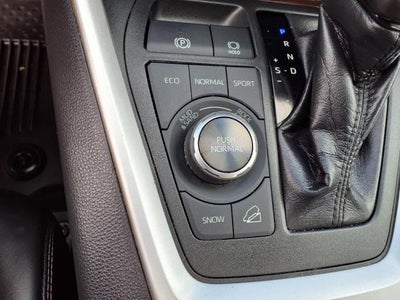 2019 Toyota RAV4 Limited AWD (GS)