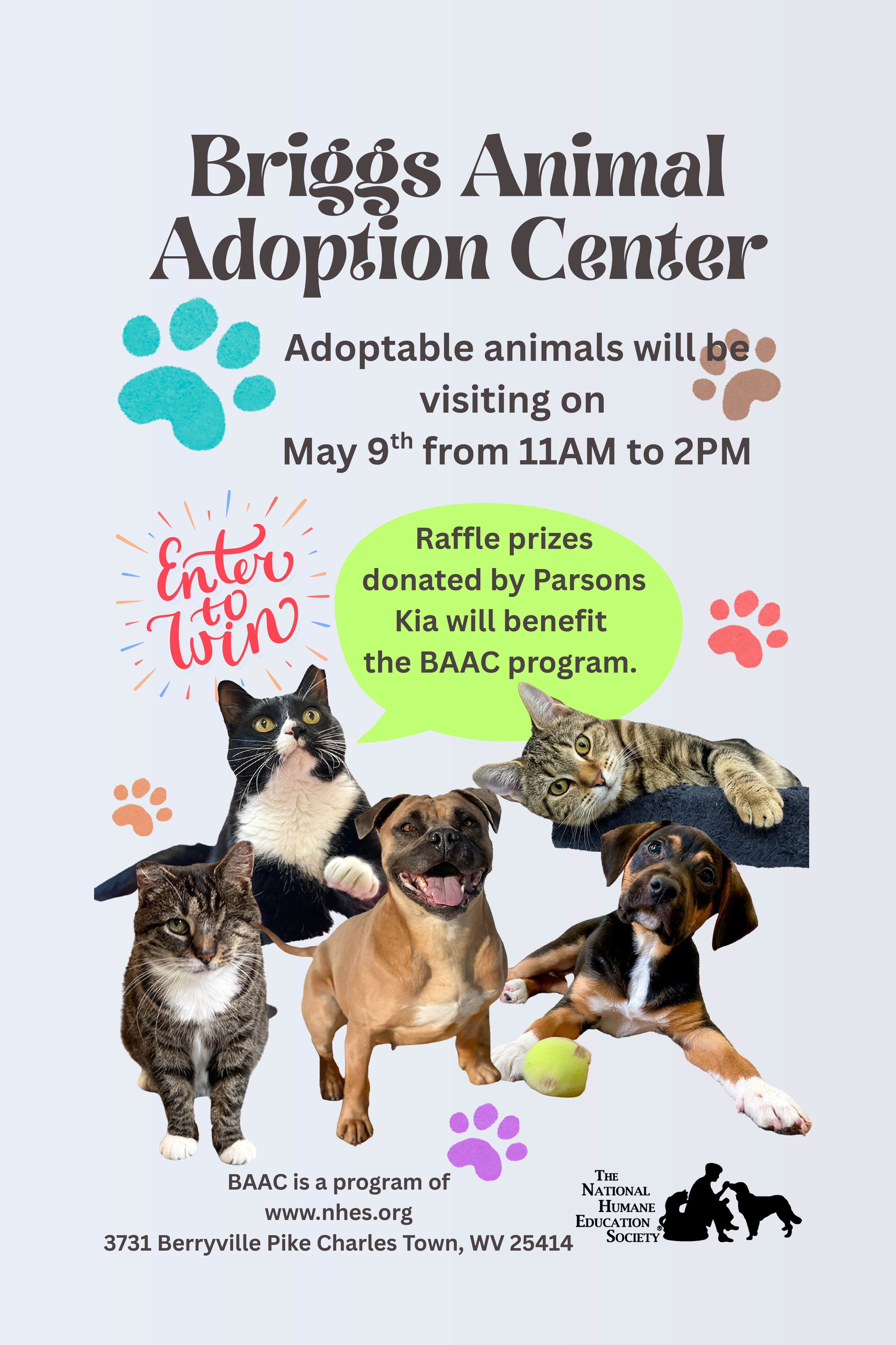 Pet Adoption Event